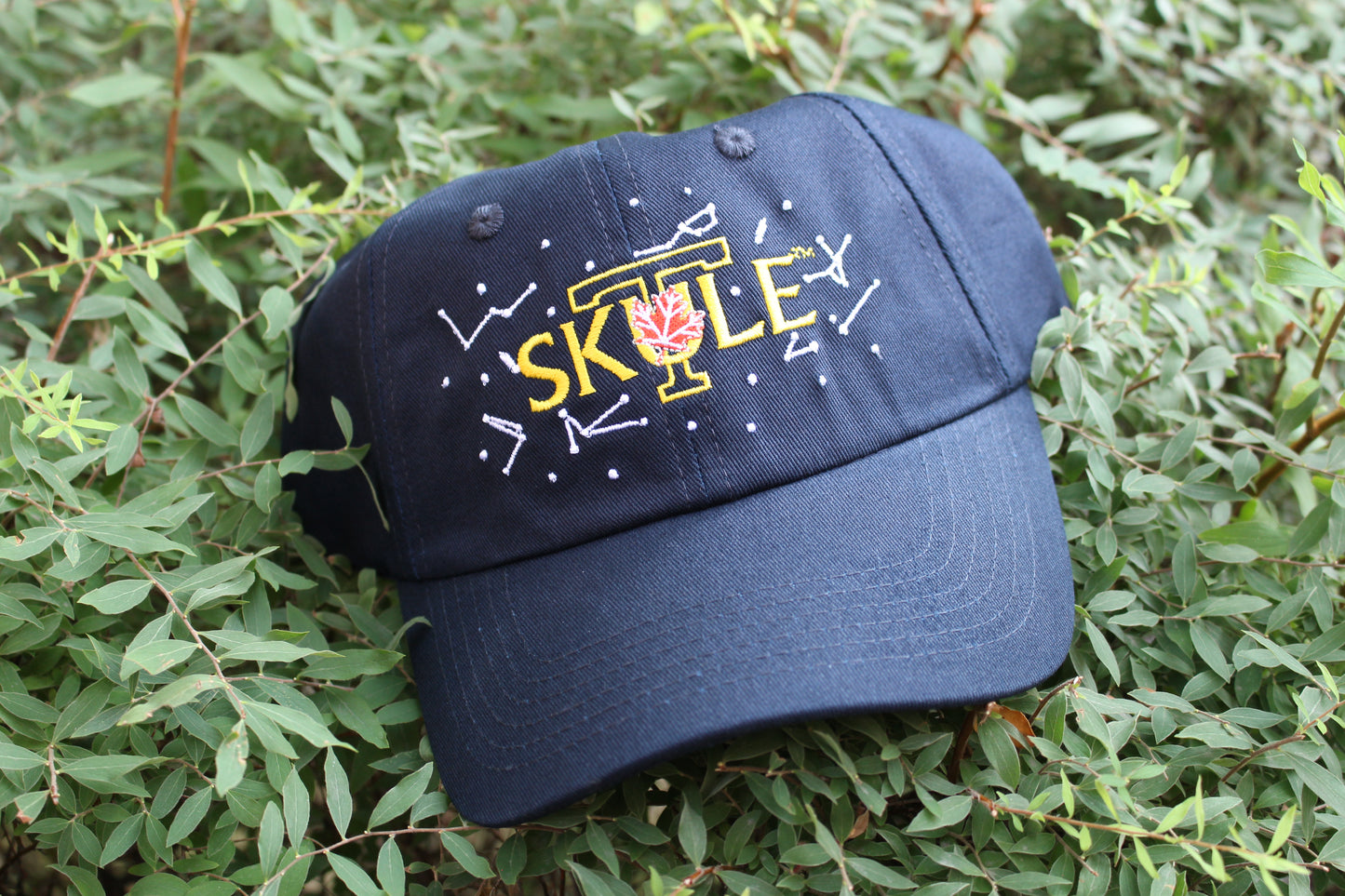 F!rosh Week 2T0 Skule™ Baseball Hat